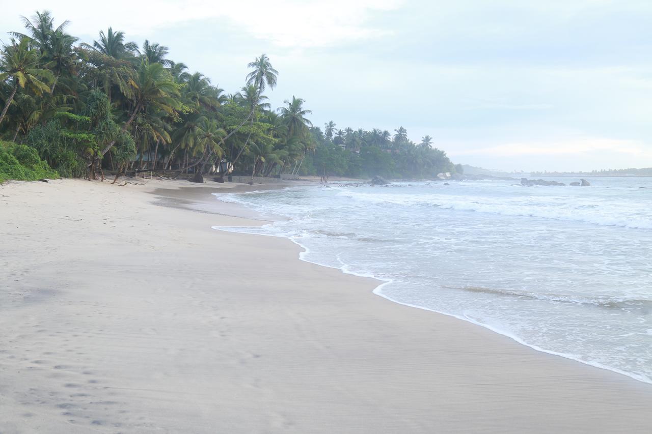Serene Beach Hotel Dikwella Ngoại thất bức ảnh
