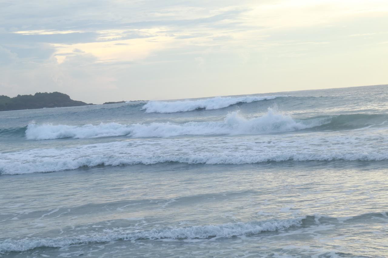 Serene Beach Hotel Dikwella Ngoại thất bức ảnh